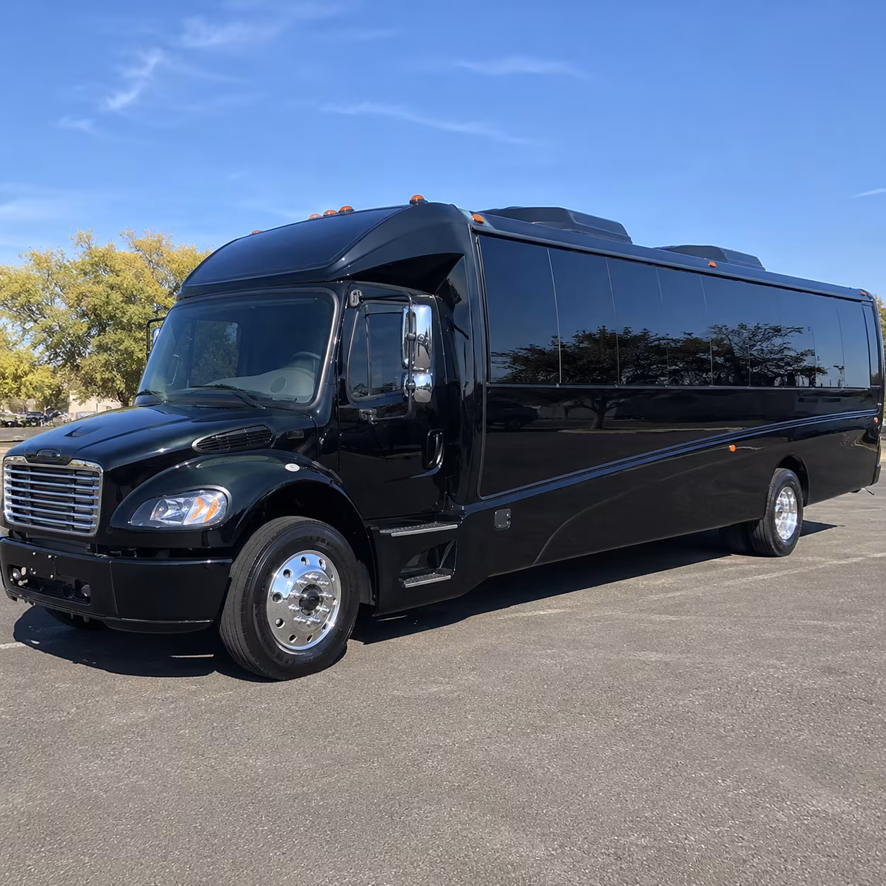 laguna niguel 20 passenger minibus