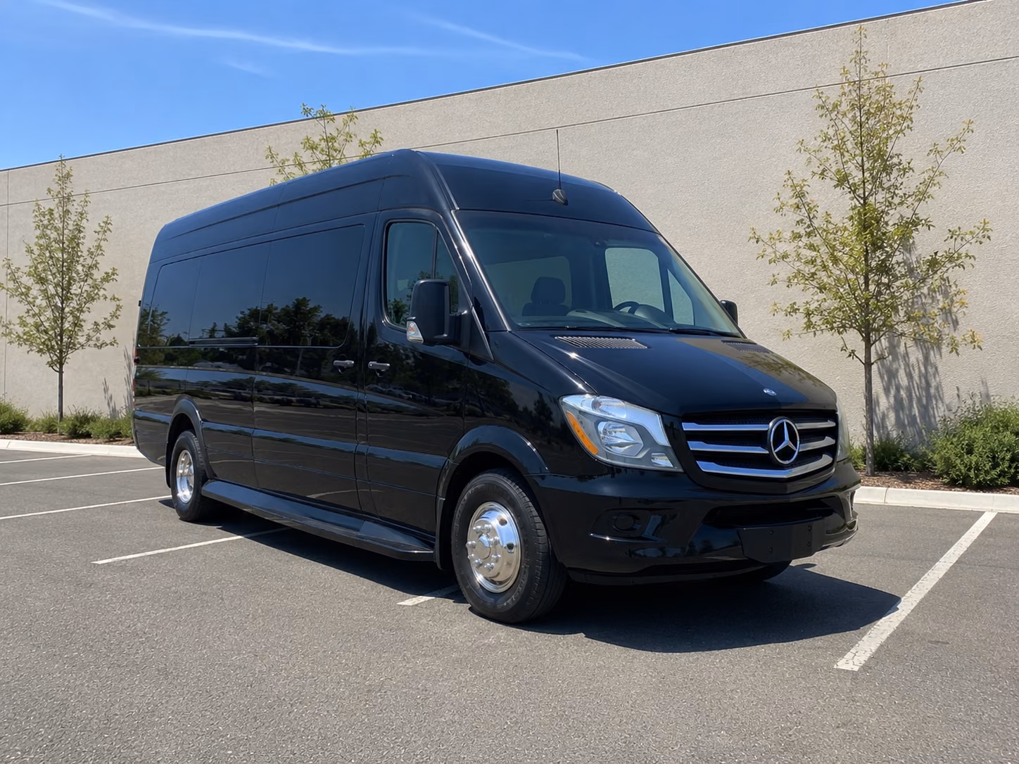 laguna niguel sprinter van with driver